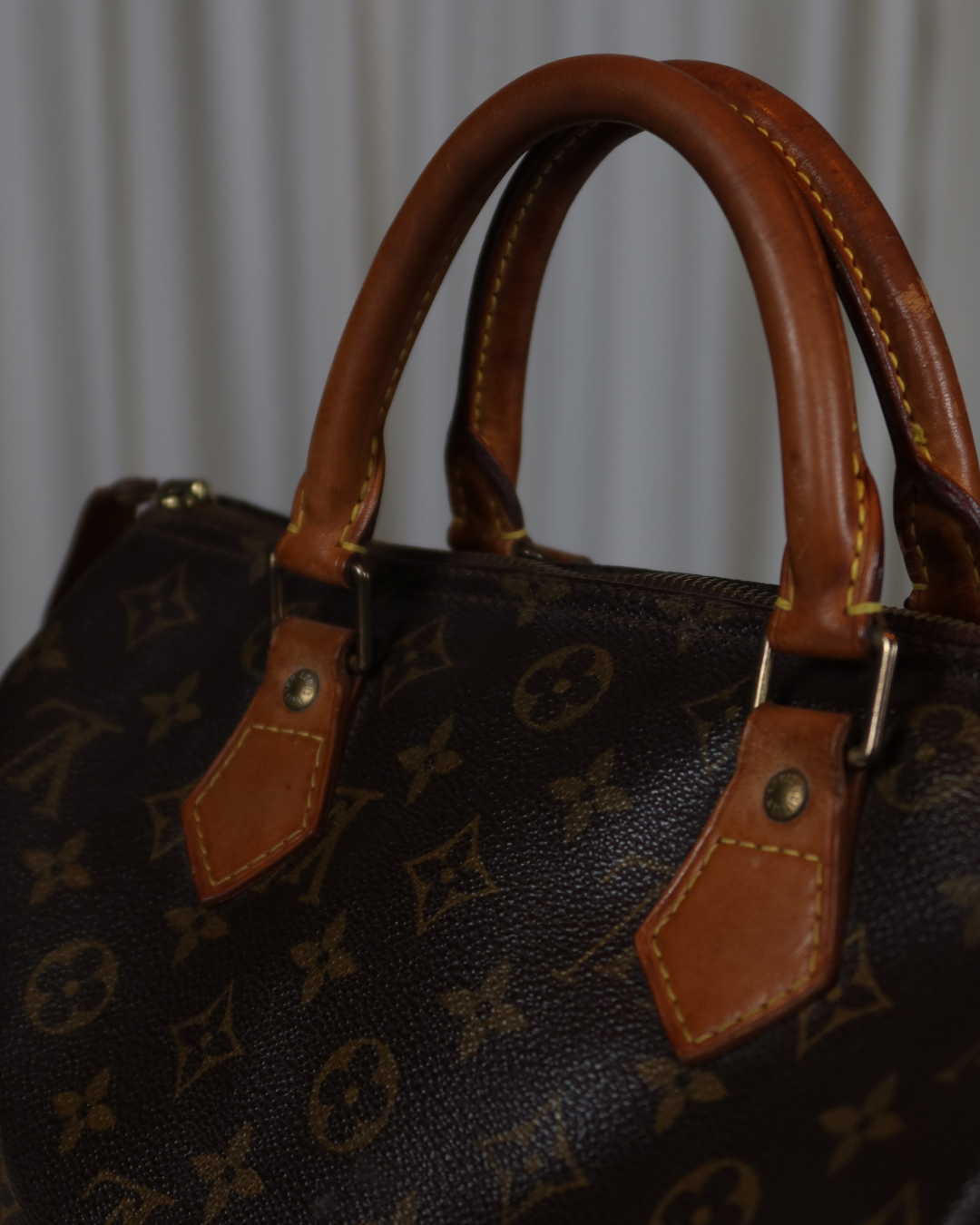 Louis Vuitton Speedy 30